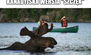 Pustka: Kanadyjski horror, który przeraża i fascynuje widzów