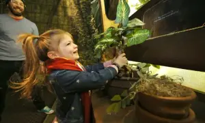 Atrakcje dla dzieci Podlaskie: miasteczko Harry Pottera i inne atrakcje w Podlasiu