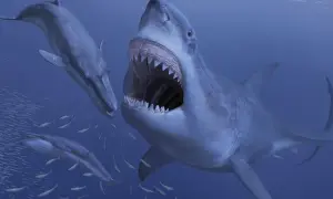Megalodon 2017: Prehistoryczny Rekin Powraca na Ekrany Kin
