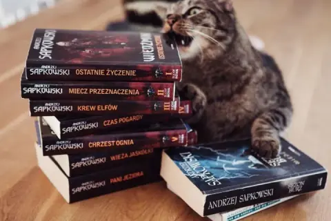 Pełna saga o Wiedźminie: 9 książek w kolejności chronologicznej