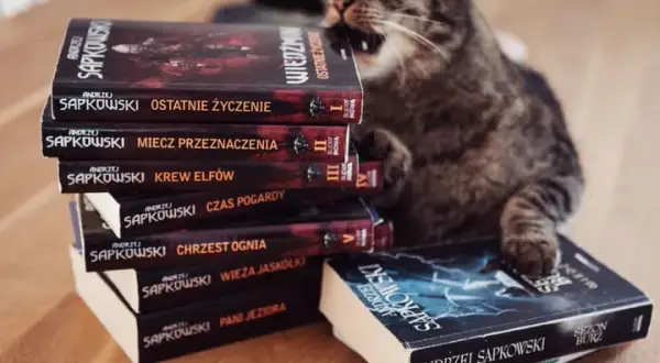 Pełna saga o Wiedźminie: 9 książek w kolejności chronologicznej
