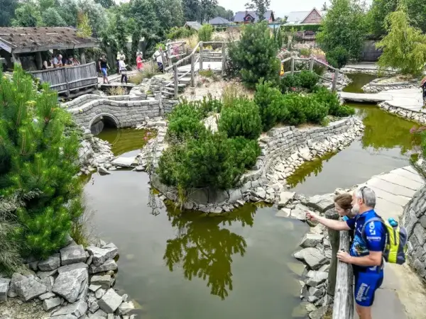Najlepsze miejsca gdzie zabrać dziecko na Śląsku: 15 wyjątkowych atrakcji